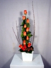 20cm larg x 50cm alt