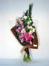 30cm larg x 55cm compr